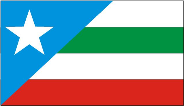 Bom Jesus das Selvas